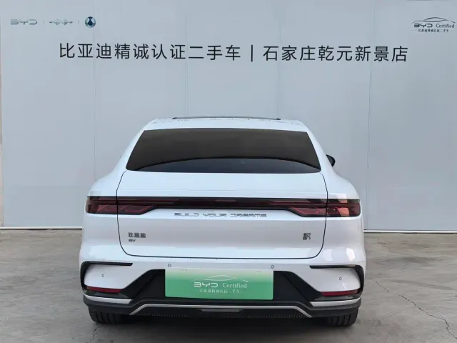 BYD Han — Фото автомобиля 4