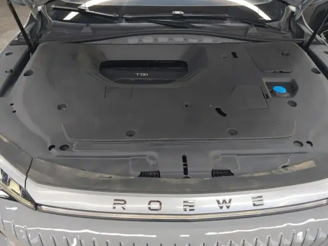 Roewe Whale — Фото автомобиля 10