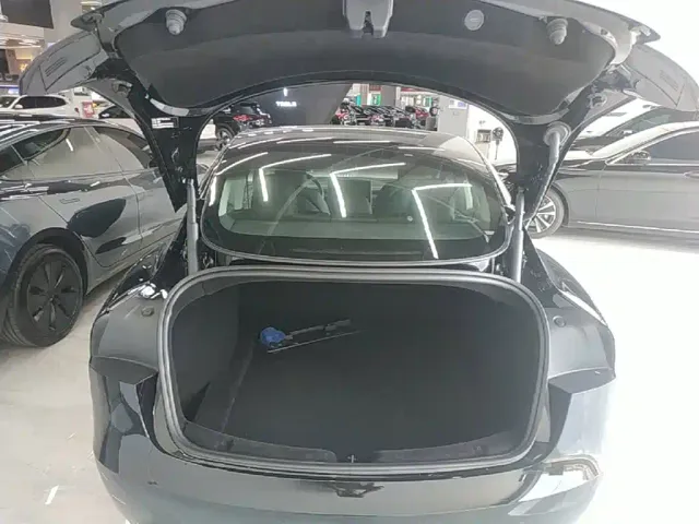 Tesla Model 3 — Фото автомобиля 18