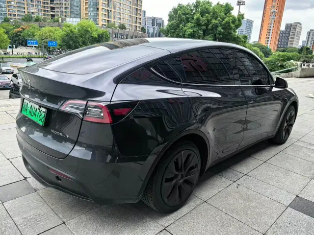 Tesla Model Y — Фото автомобиля 10