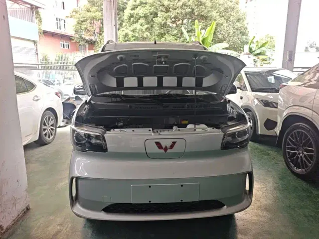 Wuling Zhiguang NEV — Фото автомобиля 19