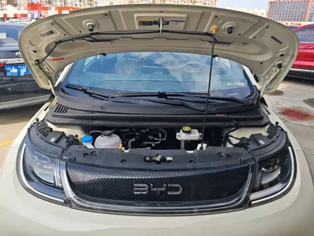 BYD Dolphin — Фото автомобиля 19