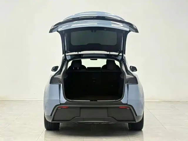 Tesla Model Y — Фото автомобиля 16