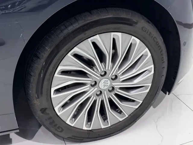 Buick Electra L7 — Фото автомобиля 25
