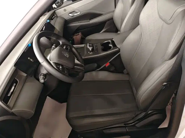 BYD Qin PLUS — Фото автомобиля 13