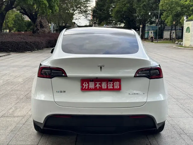 Tesla Model Y — Фото автомобиля 6