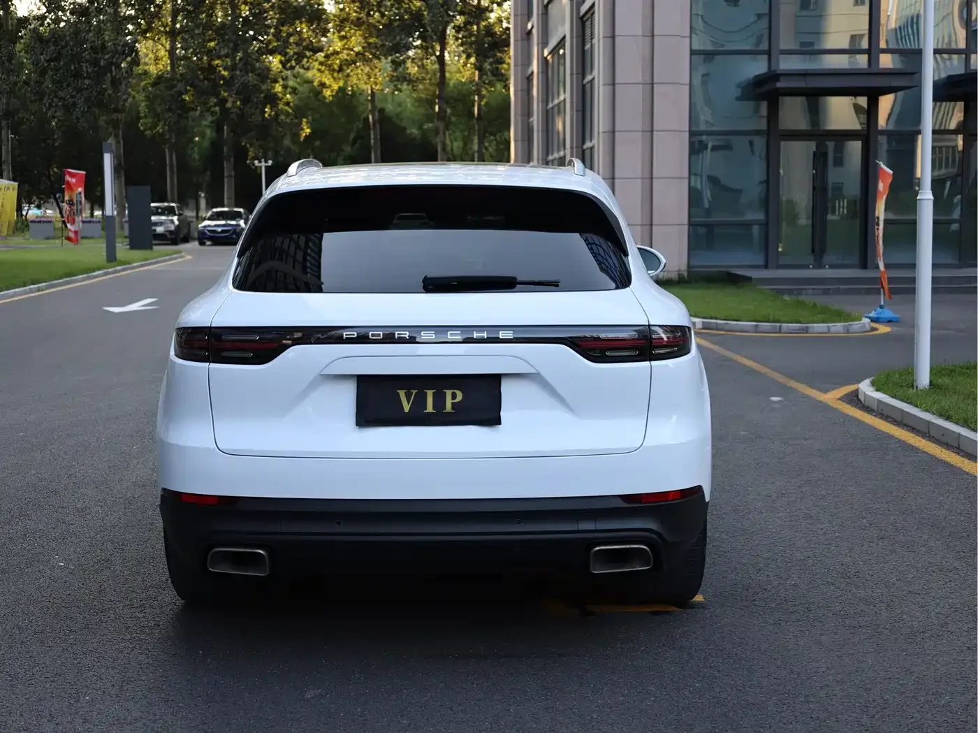 Porsche Cayenne 2022 Cayenne 3.0T Platinum Edition — Фото автомобиля 9