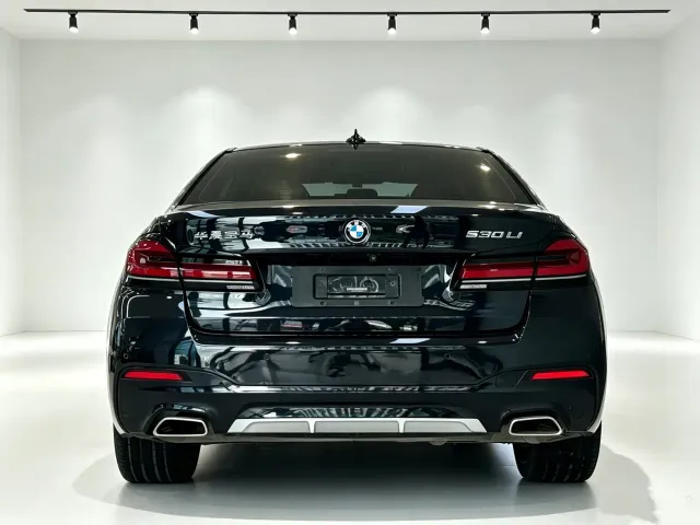 BMW 5 Series — Фото автомобиля 6