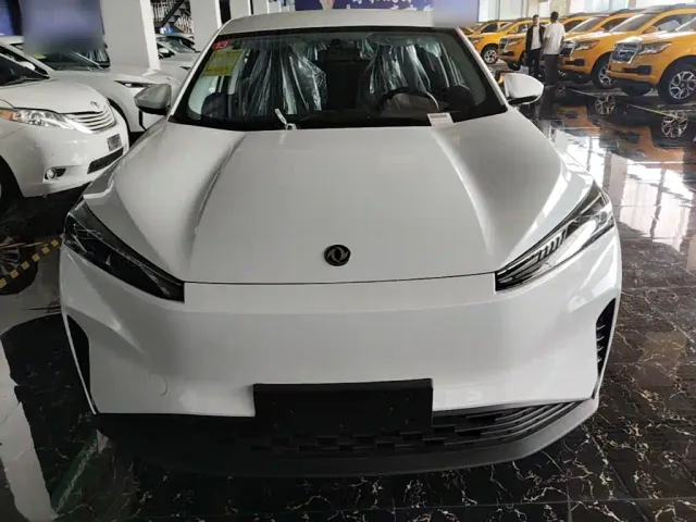 Dongfeng SKY EV01 — Фото автомобиля 2