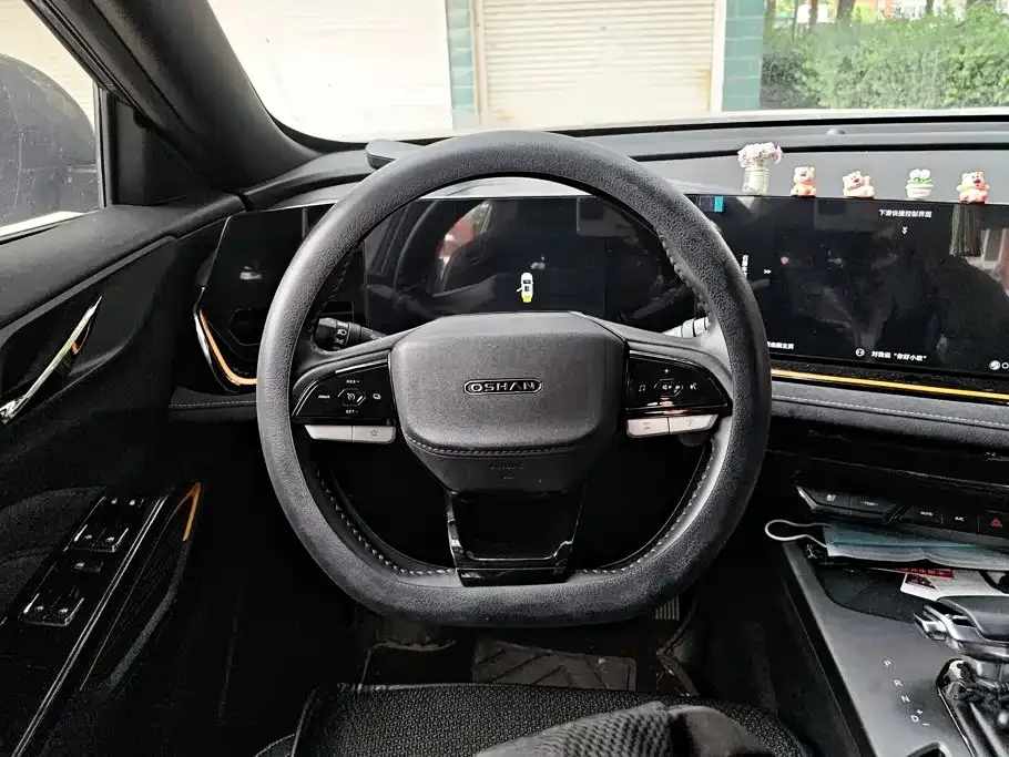 Changan Oshan Changan Oshan X5 PLUS 2023 Facelift 1.5T DCT Pioneer — Фото автомобиля 15
