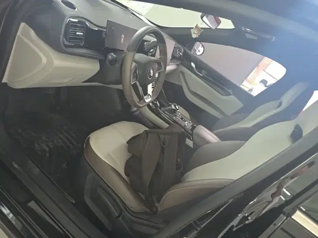 BYD Qin PLUS — Фото автомобиля 14