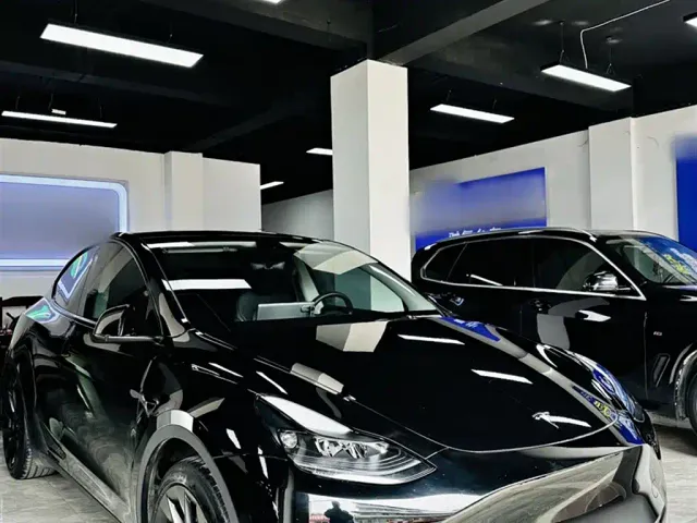 Tesla Model Y — Фото автомобиля 9
