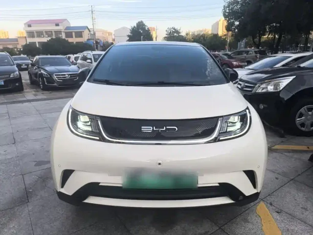 BYD Dolphin — Фото автомобиля 2