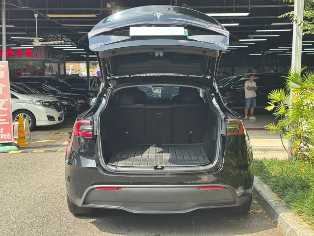Tesla Model Y — Фото автомобиля 9