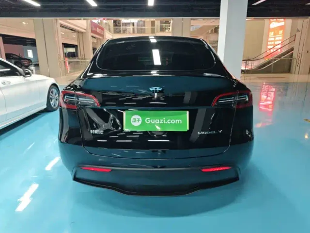 Tesla Model Y 2023 Rear-Wheel Drive Edition — Фото автомобиля 5