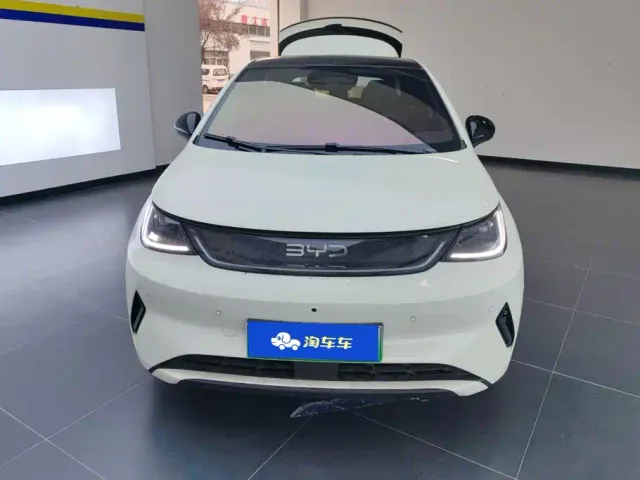 BYD Dolphin — Фото автомобиля 2