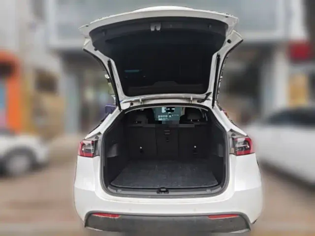 Tesla Model Y — Фото автомобиля 15
