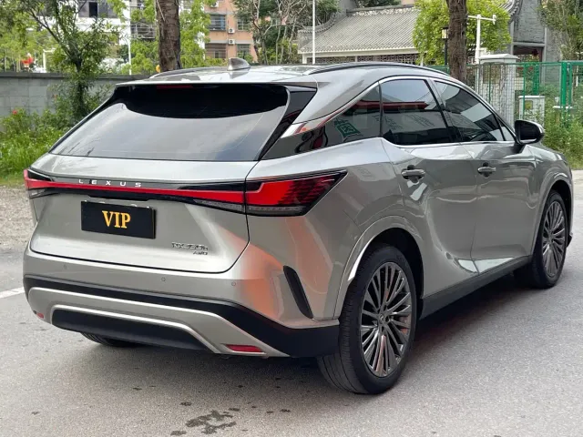Lexus RX — Фото автомобиля 6