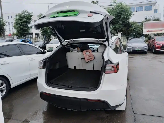Tesla Model Y — Фото автомобиля 18