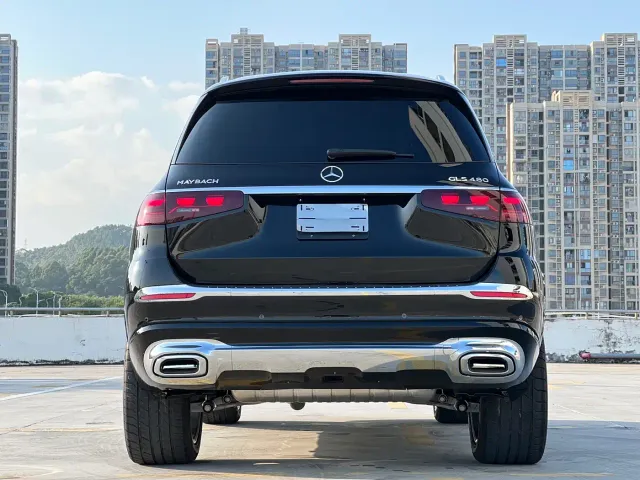 Mercedes-Benz GLS-Class — Фото автомобиля 12