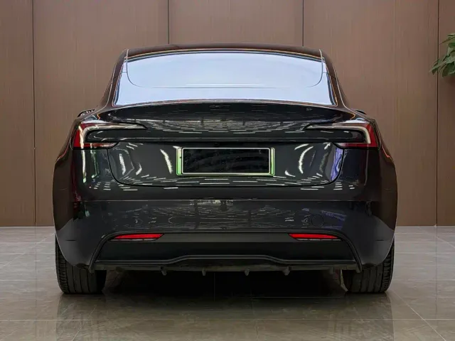 Tesla Model 3 — Фото автомобиля 17