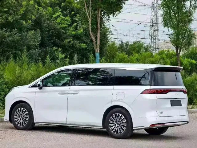 BYD M9 — Фото автомобиля 4