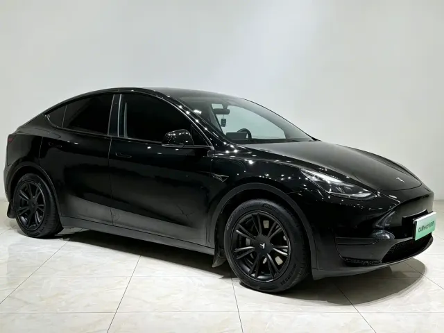 Tesla Model Y — Фото автомобиля 3
