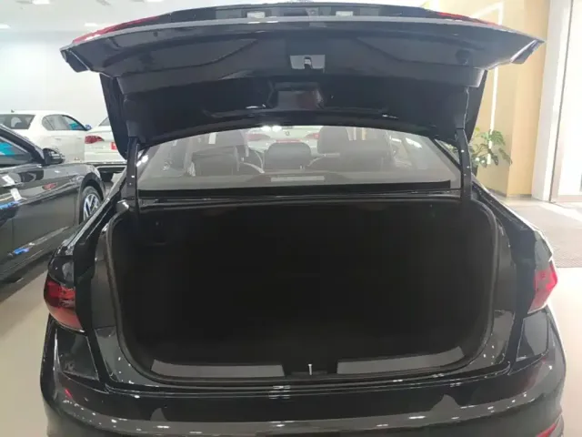 Volkswagen Sagitar — Фото автомобиля 18