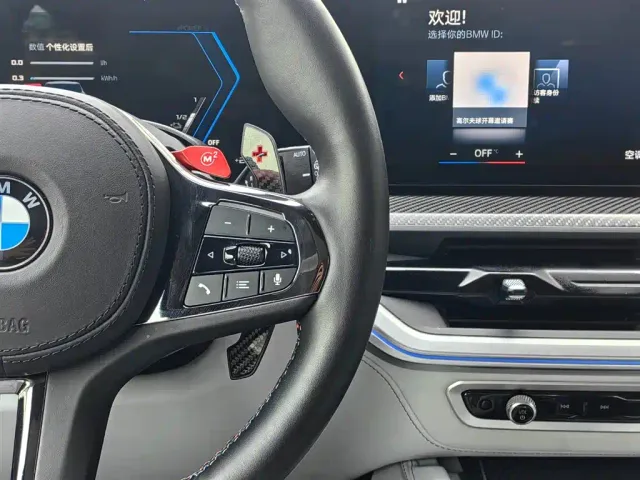 BMW XM — Фото автомобиля 16