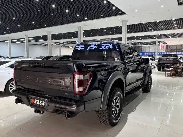 Ford F-150 Raptor — Фото автомобиля 9