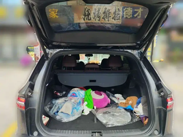 Geely Xingyue L — Фото автомобиля 9