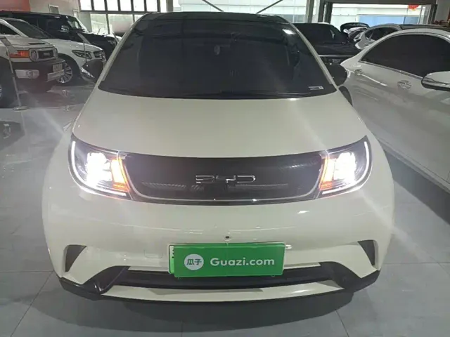 BYD Dolphin — Фото автомобиля 2