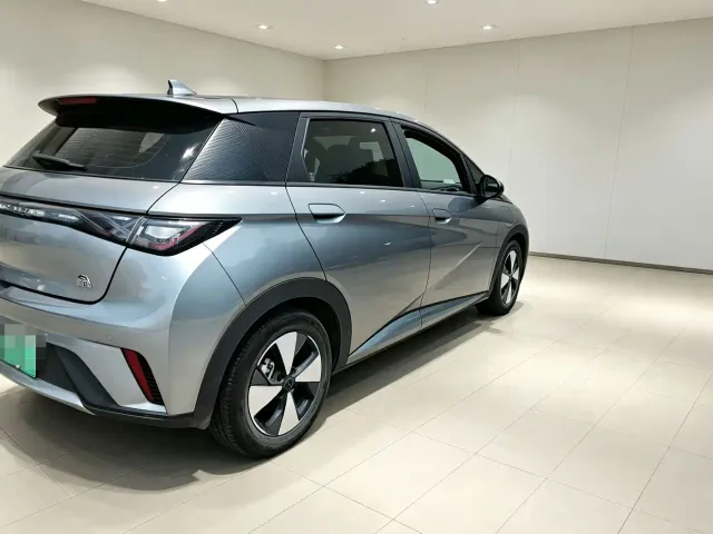 BYD Dolphin — Фото автомобиля 2
