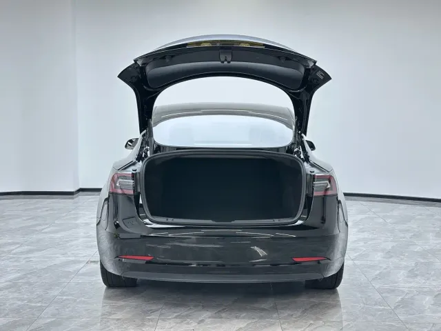 Tesla Model 3 2021 Facelift Standard Range RWD Upgrade 3D1 — Фото автомобиля 10