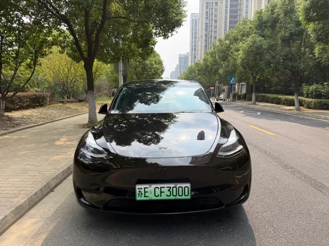 Tesla Model Y — Фото автомобиля 2