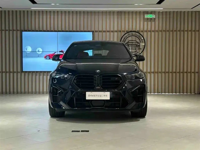 BMW X6 M — Фото автомобиля 2