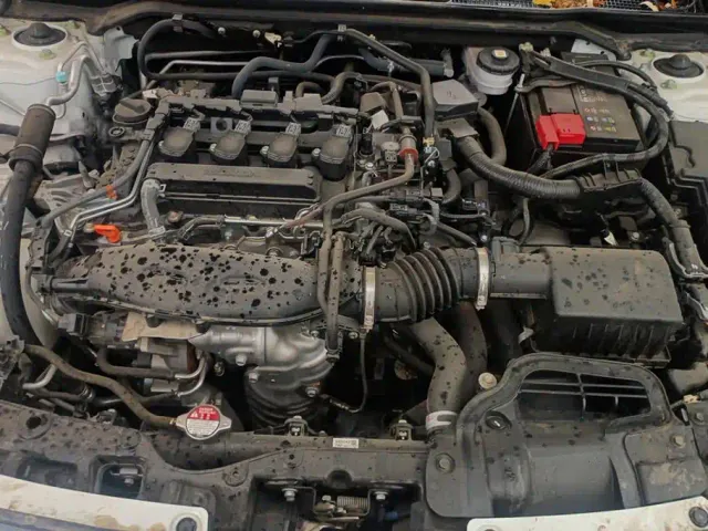 Honda Civic — Фото автомобиля 10