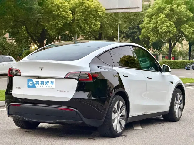 Tesla Model Y — Фото автомобиля 4