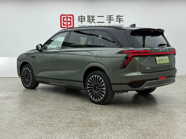 Wey Lanshan — Фото автомобиля 3