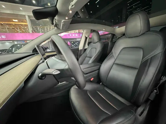 Tesla Model Y — Фото автомобиля 10