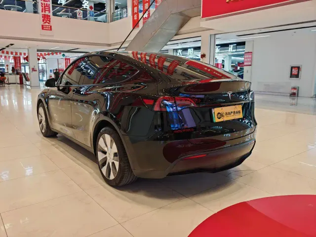 Tesla Model Y — Фото автомобиля 6