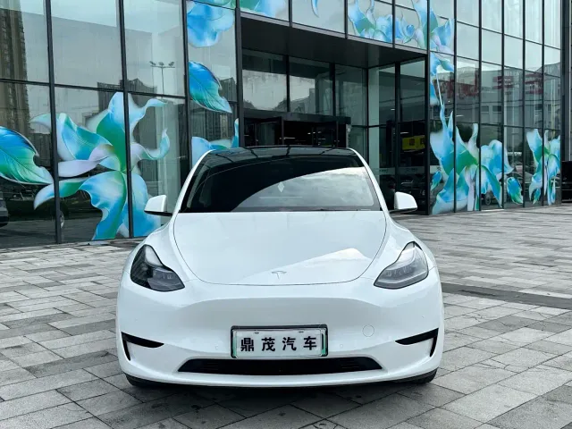 Tesla Model Y — Фото автомобиля 2