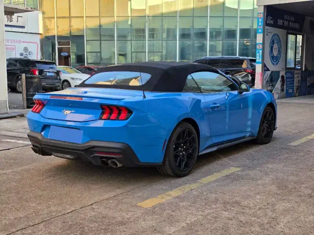Ford Mustang — Фото автомобиля 6