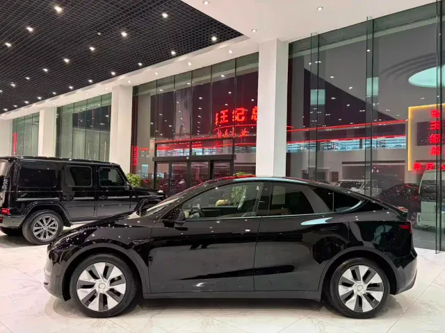 Tesla Model Y — Фото автомобиля 4