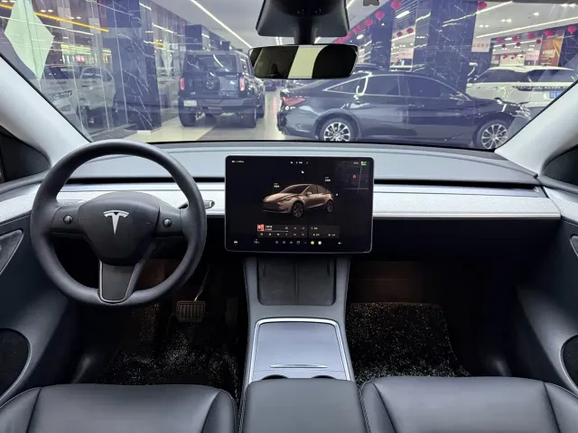 Tesla Model Y — Фото автомобиля 13