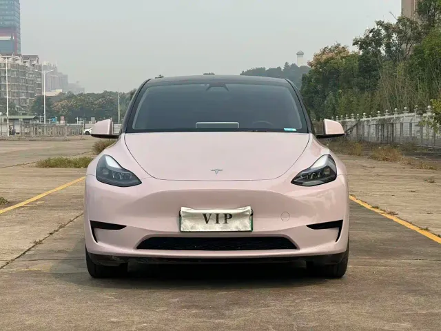 Tesla Model Y — Фото автомобиля 2