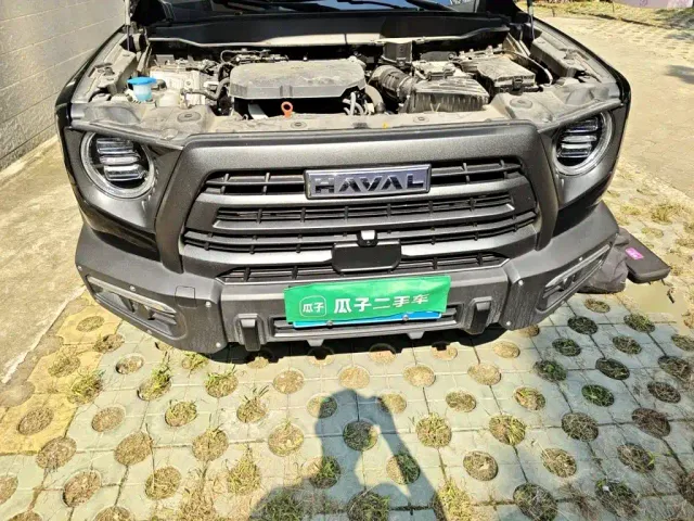 Haval Big Dog — Фото автомобиля 21