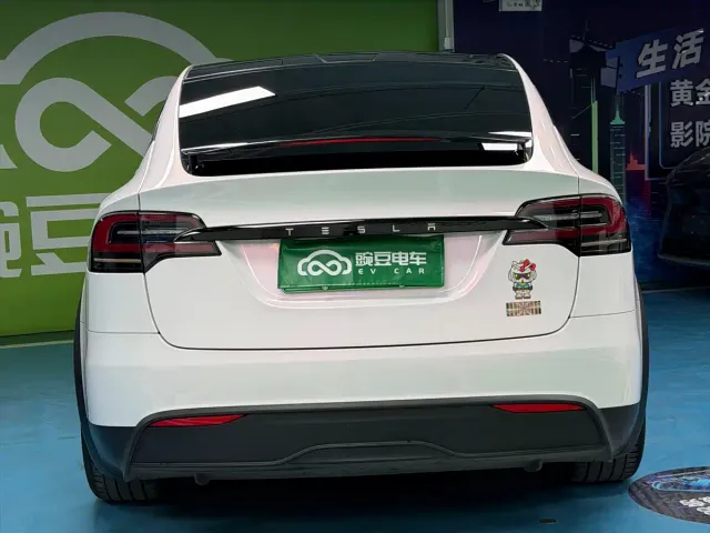 Tesla Model X — Фото автомобиля 21