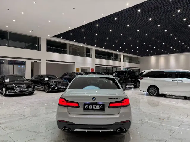 BMW 5 Series — Фото автомобиля 18