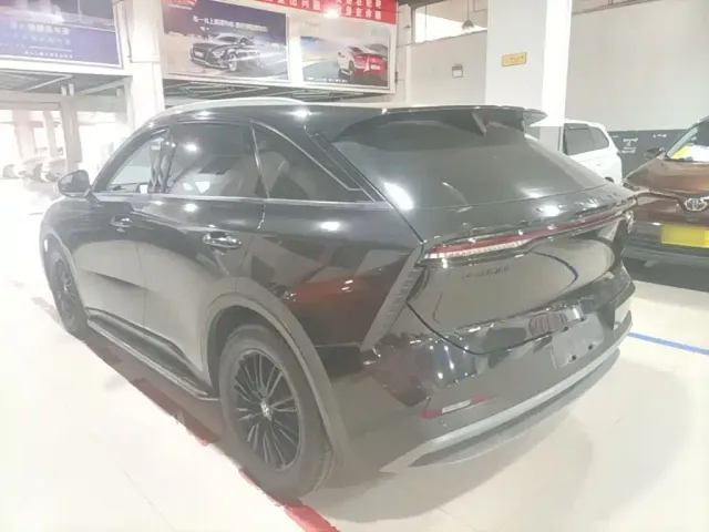 Venucia Venucia Big V 2022 260T Dark Horse Edition·Idol — Фото автомобиля 4